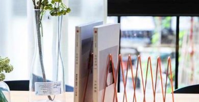 Organizador de libros
