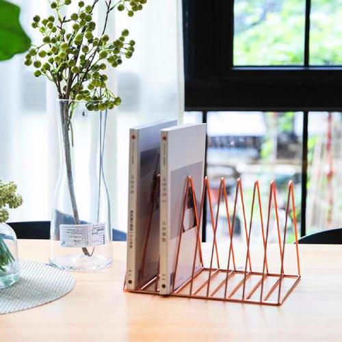 Organizador de libros